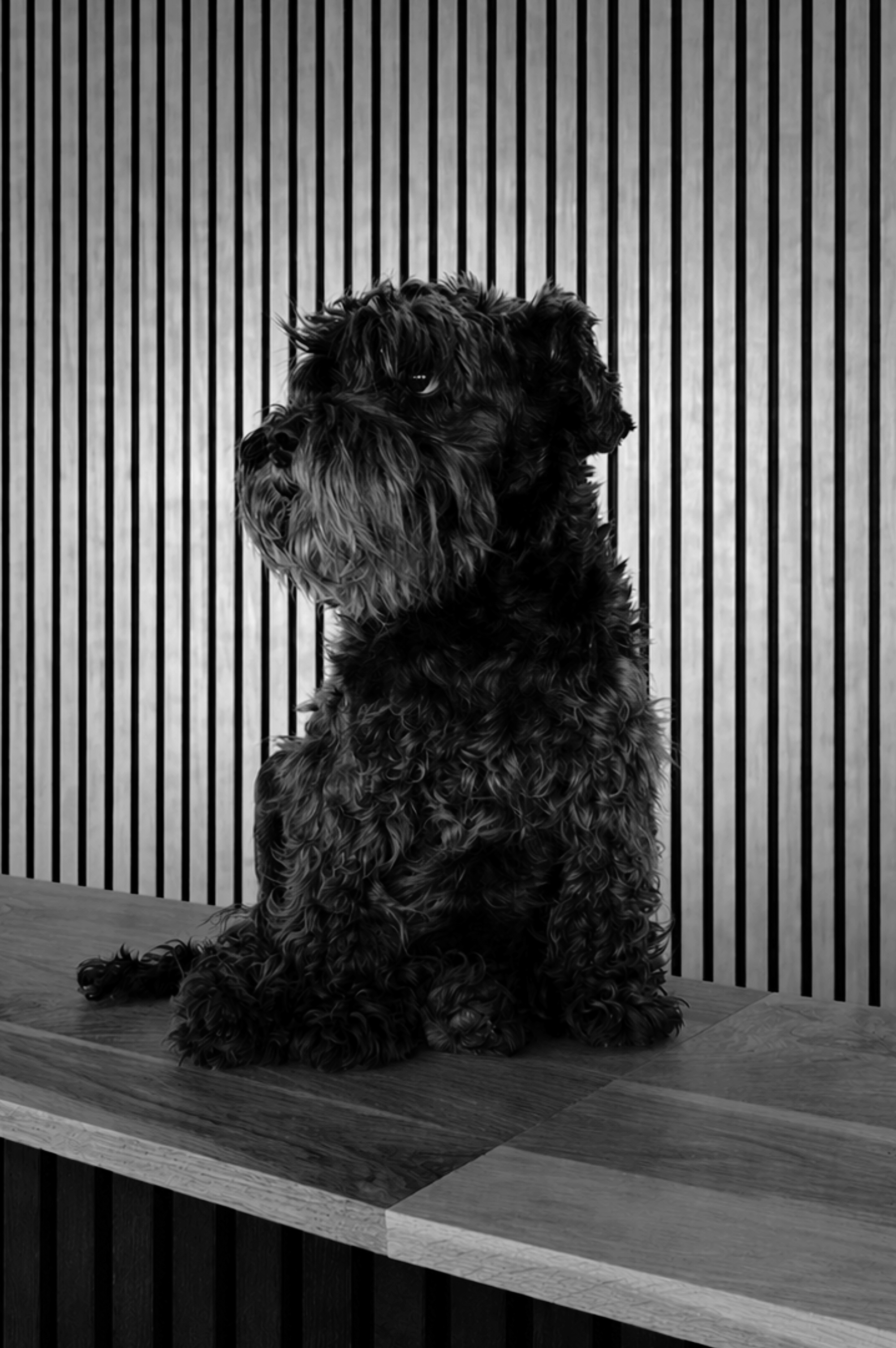 Frida Veenstra-Schievink, snuffelstagiare bewerkt ZW